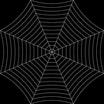 Spiderweb. Black background. Vector.