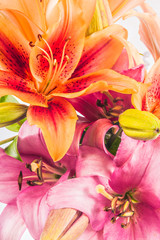 Obraz na płótnie Canvas Floral pattern with closeup lilies