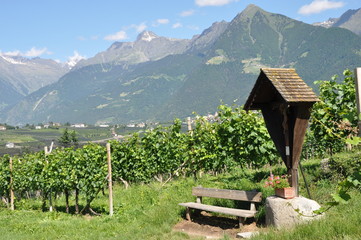 Meran 2000