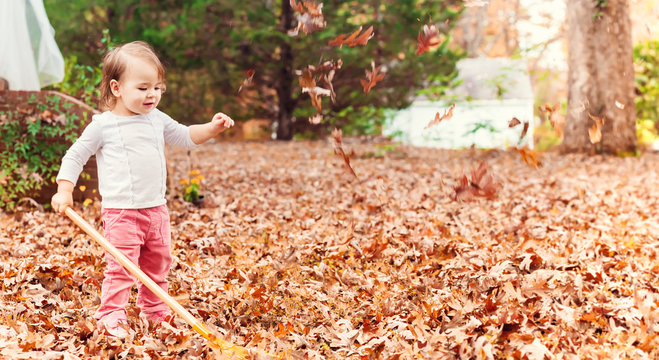 Happy toddler girl raking leaves