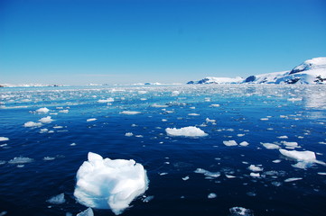 Iceberg