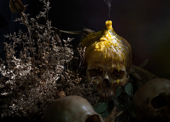 Candle on head skull and dried flowers in dim light halloween ni