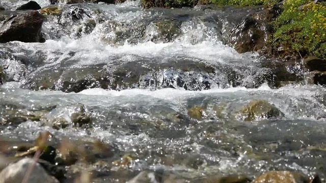 engschtligenalp, adelboden, schweiz 