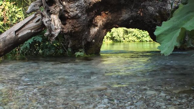 beautiful river in Albania among forests and greenery