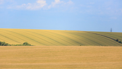 Fototapeta na wymiar Agricultural land and blue sky