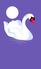 Swan and The Moon