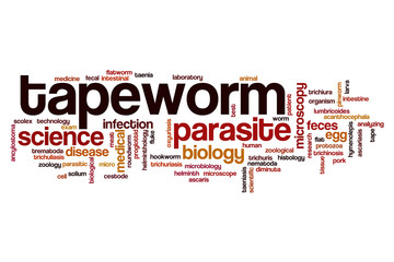 Tapeworm word cloud