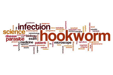 Hookworm word cloud
