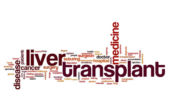 Liver Transplant Word Cloud