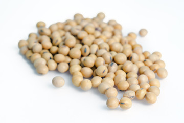 Soybean or soy bean isolated on white background