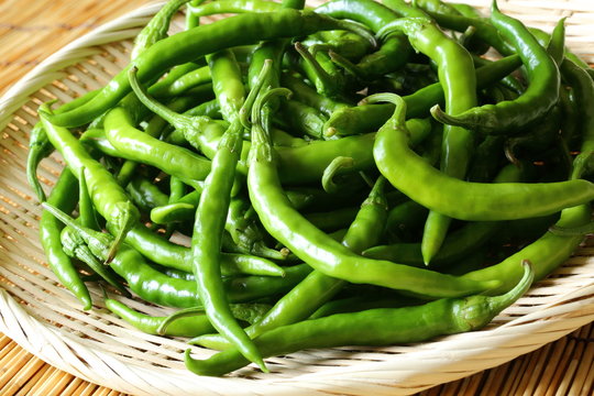 青唐辛子images Browse 666 Stock Photos Vectors And Video Adobe Stock