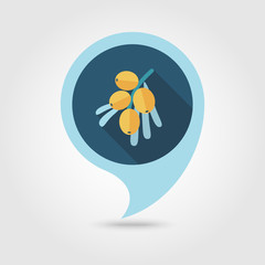 Branch of sea-buckthorn berries pin map icon