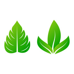 Leaf icon vector illustration.