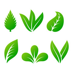 Leaf icon vector illustration.