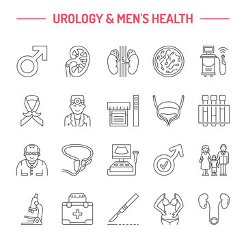Modern vector line icons of urology. Elements - urologist, bladder, oncological urology, kidneys, adrenal glands, prostate. Linear medical pictograms  for clinic, potency problem.