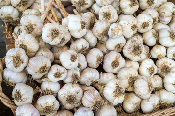 Many garlic cloves at the market
