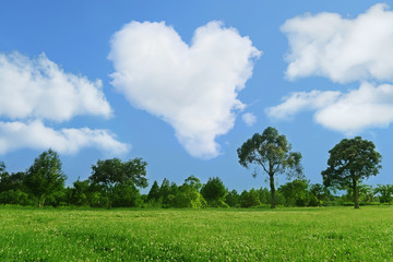 heart cloud blue sky park