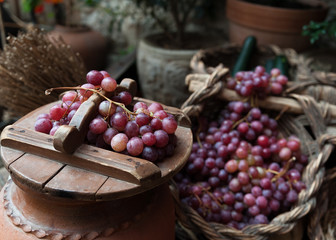 Cesto de uvas