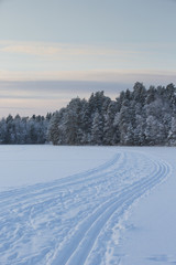 Ski tracks in the snow. The tracks are made in the deep snow on a lake ice. Image taken during sunset in Finland on a cold winter day.