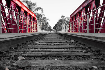 Train track made of wood, metal and stones on red bridge with some background of palm trees. To lose sight of.