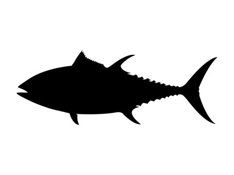 Bluefin tuna silhouette. Vector illustration.