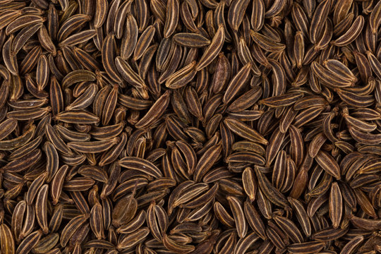 Close up caraway seeds