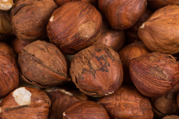 Heap of hazelnuts