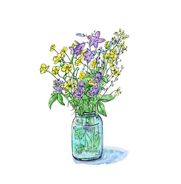 hand drawn watercolor bouquet of summer meadow flowers
