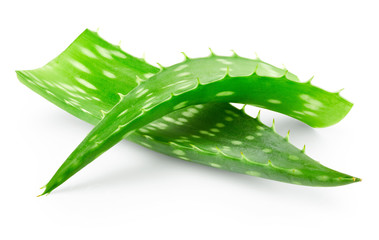 Aloe vera leaves isolated on white background