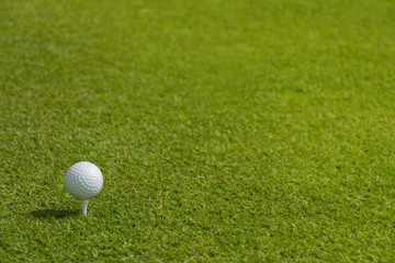 Golf ball on the green