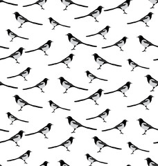 Vector seamless pattern of magpie