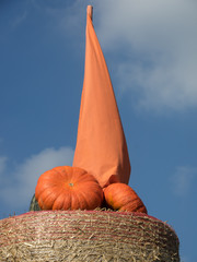 kürbisse