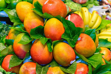Mango fruits at Boqueria market in Barcelona.