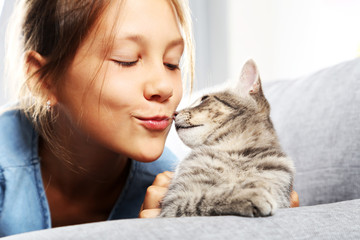 Beautiful grey cat on female hands on sofa