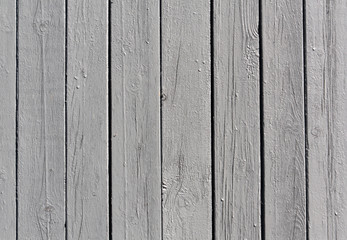 Gray wooden fence texture.