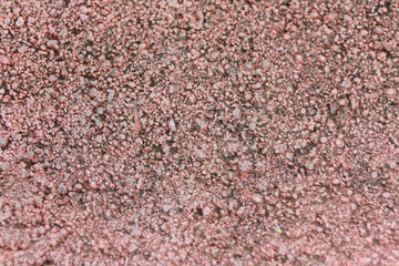 Floor of the walkway in the garden
