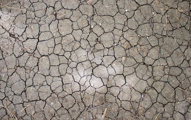 Structure cracked earth