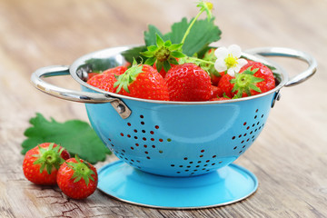 Fresh strawberries in blue colander on wooden surface
