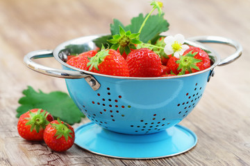 Fresh strawberries in blue colander on wooden surface
 - Powered by Adobe