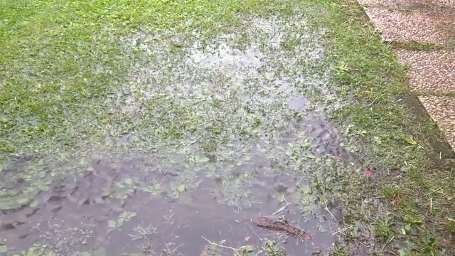 Heavy rain on mud and grass