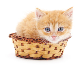 Fototapeta na wymiar Red kitten in a basket.