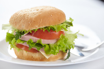 sandwich isolated on white