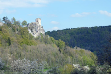 Burgruine Neideck bei Streitberg