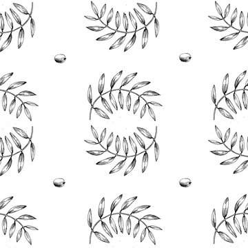 Seamless vector pattern with olive branch.