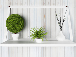 vases with the plants on the shelf, 3d