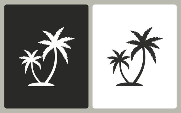 Palm tree - vector icon.