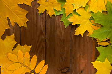 Autumn leaves over old brown wooden background with empty space