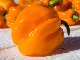 Fototapeta na wymiar Closeup of fresh chillies Habanero Orange