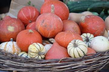 pumpkins for sale at market 