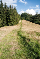 Fototapeta na wymiar meadow with pathway, forest around and blue sky with clouds bellow Mala Kykula hill in Moravskoslezske Beskydy mountains